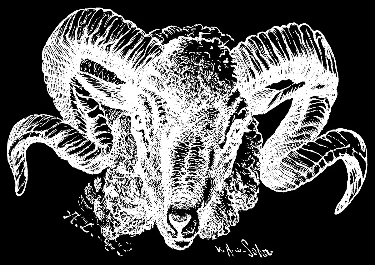 Das Logo